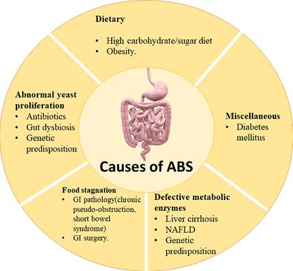 Causes of Auto_Brewery Syndrome