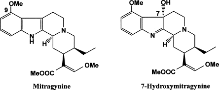 Kratom contains Alkaloids, including Mitragynine and 7-Hydroxymitragynine