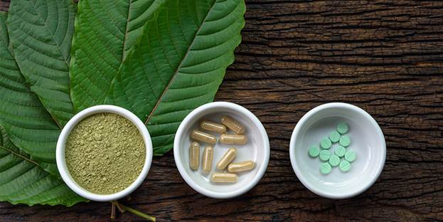 Kratom: The Botanical Enigma at the Crossroads of Pain, Policy, and&nbsp;Science