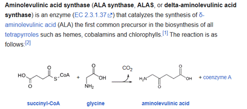 Aminolevulinic Acid, the key to Photodynamic Therapy curing HPV of the cervix