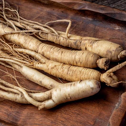 Panax Ginseng