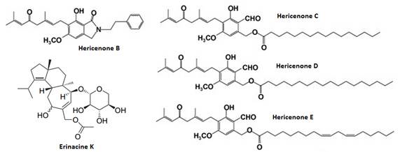 Hericenones and erinacines compounds in Lions mane