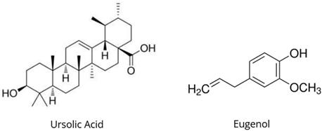 Ursolic Acid and Eugenol chemical structure from Holy Basil