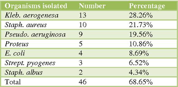 Common Bacterial Culprits in Sepsis