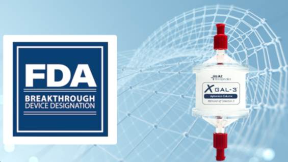 THE SILENT STORM INSIDE YOUR&nbsp;BLOOD